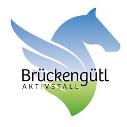 Brückengütl Aktivstall, Kirchdorf in Tirol Öffnungszeiten