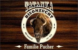 Tatanka Bisonzucht, Zerlach Öffnungszeiten