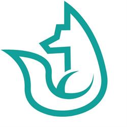 Foxwork Coworking Space, Hörsching Öffnungszeiten
