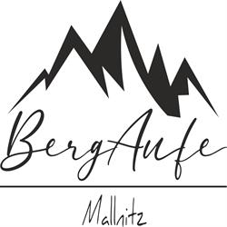 BergAufe Mallnitz, Öffnungszeiten