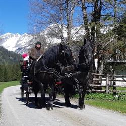 Pferdeschlitten und Kutschenfahrten, Tweng Öffnungszeiten