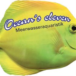 Ocean's Eleven Wien, Öffnungszeiten