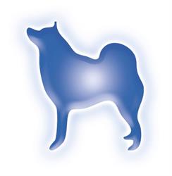 Kessler Dogs, Schruns Öffnungszeiten