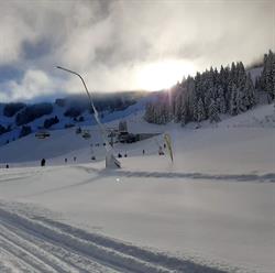 Tischlerhütte, Alm Öffnungszeiten