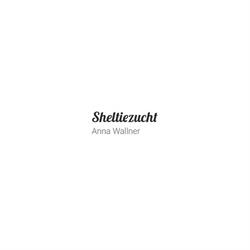 Sheltiezucht - Anna Wallner, Wiener Neustadt Öffnungszeiten