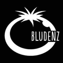 Blue Tomato Shop Bludenz, Bürs Öffnungszeiten