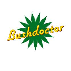 Bushdoctor GmbH, St. Pölten Öffnungszeiten