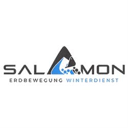 Salamon Erdbewegung und Winterdienst, Bad Mitterndorf Öffnungszeiten