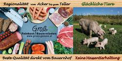 Fleischerei Groß Sonja, Illensdorf Öffnungszeiten
