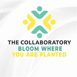 The Collaboratory Co-Working and Events Space, Wien Öffnungszeiten