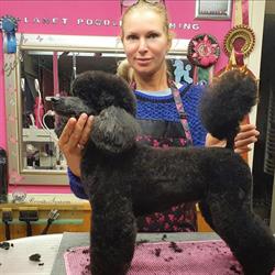 Hundesalon - Der Weiße Pudel, Wien Öffnungszeiten
