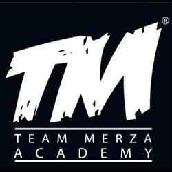 Team Merza Academy, Wien Öffnungszeiten
