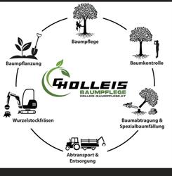 Holleis Baumpflege e.U., Dorfgastein Öffnungszeiten