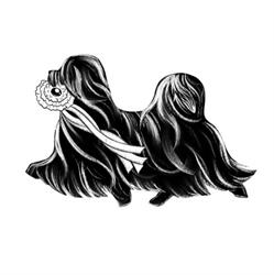 Beauty Champion Hundefriseur, Lieboch Öffnungszeiten