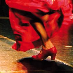 Flamencoschule LaGuita, Wien Öffnungszeiten