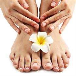 Venusblume Vitalzentrum - Maniküre medizinische Pediküre bei Kathi, Nenzing Öffnungszeiten