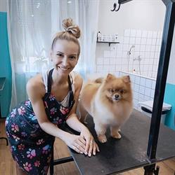 Nasse Nase Hundesalon, Rudersdorf Öffnungszeiten