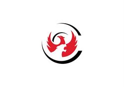 Fit2Hit - Kampfsportakademie, Selbstverteidigung, Fitness, Schwanenstadt Öffnungszeiten