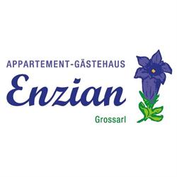 Appartement-Gästehaus Enzian, Großarl Öffnungszeiten