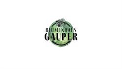 Blumenhaus Gauper Graz, Öffnungszeiten