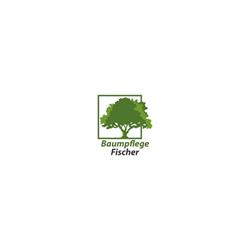 Baumpflege Fischer GmbH, Gallizien Öffnungszeiten