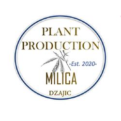 Milica Dzajic, Wien Öffnungszeiten