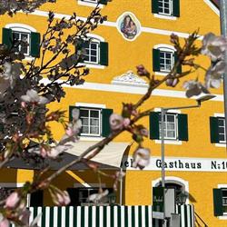 Gasthof Bauböck, Gurten Öffnungszeiten