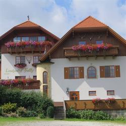 Zum Fally, Kirchberg am Wechsel Öffnungszeiten