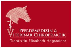 Pferdetierarzt Elisabeth Hagsteiner - Kirchdorf in Tirol, Öffnungszeiten