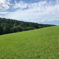 Raberhof, Hart bei Graz Öffnungszeiten