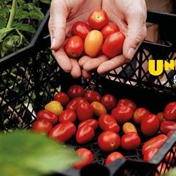 Unimarkt Handelsgesellschaft m.b.H. & Co. KG, Haslach an der Mühl Öffnungszeiten