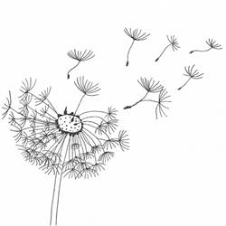 Psychologische Praxis - Mag.a Arijana Medic, Wien Öffnungszeiten