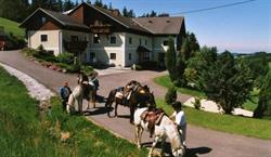 Ferienhof Kriechbaumer und Onkel Peda, Schönau im Mühlkreis Öffnungszeiten
