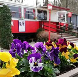 Buffet zur Tramway Klagenfurt, Öffnungszeiten