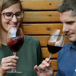 Weingut Wendelin, Gols Öffnungszeiten
