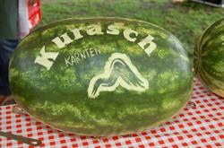 Buschenschenke Kurasch, Feistritz im Rosental Öffnungszeiten