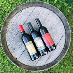 Weingut Polczer, Eisenberg an der Pinka Öffnungszeiten