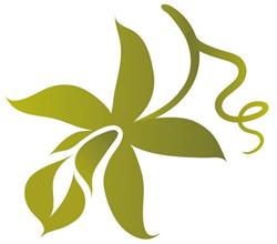 Aromainsel, Guntramsdorf Öffnungszeiten