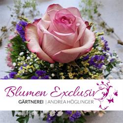 Blumen Exclusiv Andrea Höglinger e.U., Rohrbach in Oberösterreich Öffnungszeiten