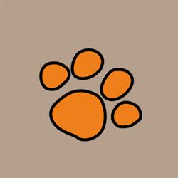 Hundesalon 4 Pfötchen, Voitsberg Öffnungszeiten