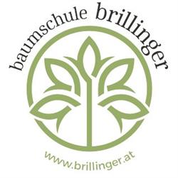 Baumschule Brillinger GmbH, Weißkirchen an der Traun Öffnungszeiten