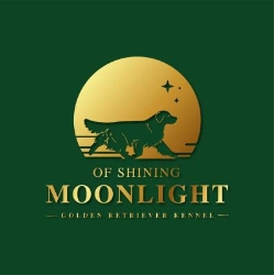 Golden Retriever Kennel of Shining Moonlight, Aschach an der Steyr Öffnungszeiten