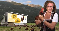 Gabis Freilandeier, Untergiblen Öffnungszeiten