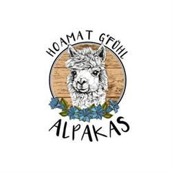 Hoamat G'fühl Alpakas Der Alpaka Lada, Feldkirch Öffnungszeiten