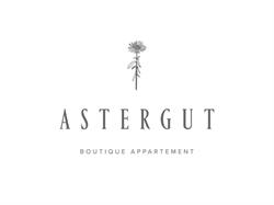 Astergut Boutique Apartment, Saalbach Öffnungszeiten