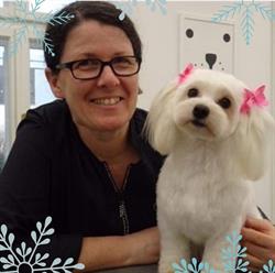 Lieblingshunde Hundesalon e.U., Wien Öffnungszeiten