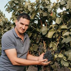 Weingut Jonny Wegleitner KG, Apetlon Öffnungszeiten