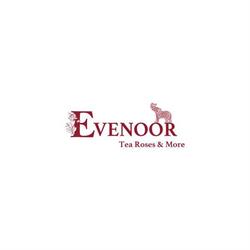 EVENOOR Tea Roses & More, Klagenfurt am Wörthersee Öffnungszeiten