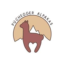 Cornelia Puchegger Alpakas - Alpakawanderungen, Lanzenkirchen Öffnungszeiten