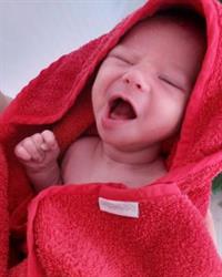 Kuschelchen, Tribuswinkel Öffnungszeiten